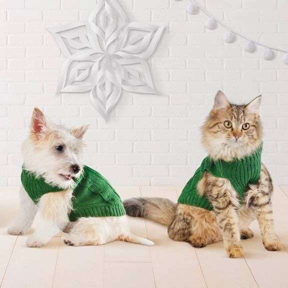 Wondershop XS Pet Sweater image