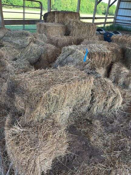 Large Lot of Square Hay Bales image