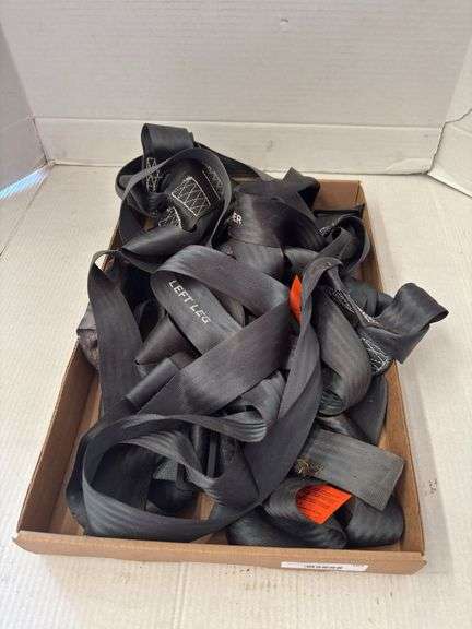 Assorted Safety Restraint Straps image