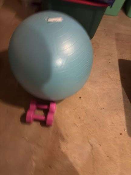 Exercise Ball and Dumbbell Set image