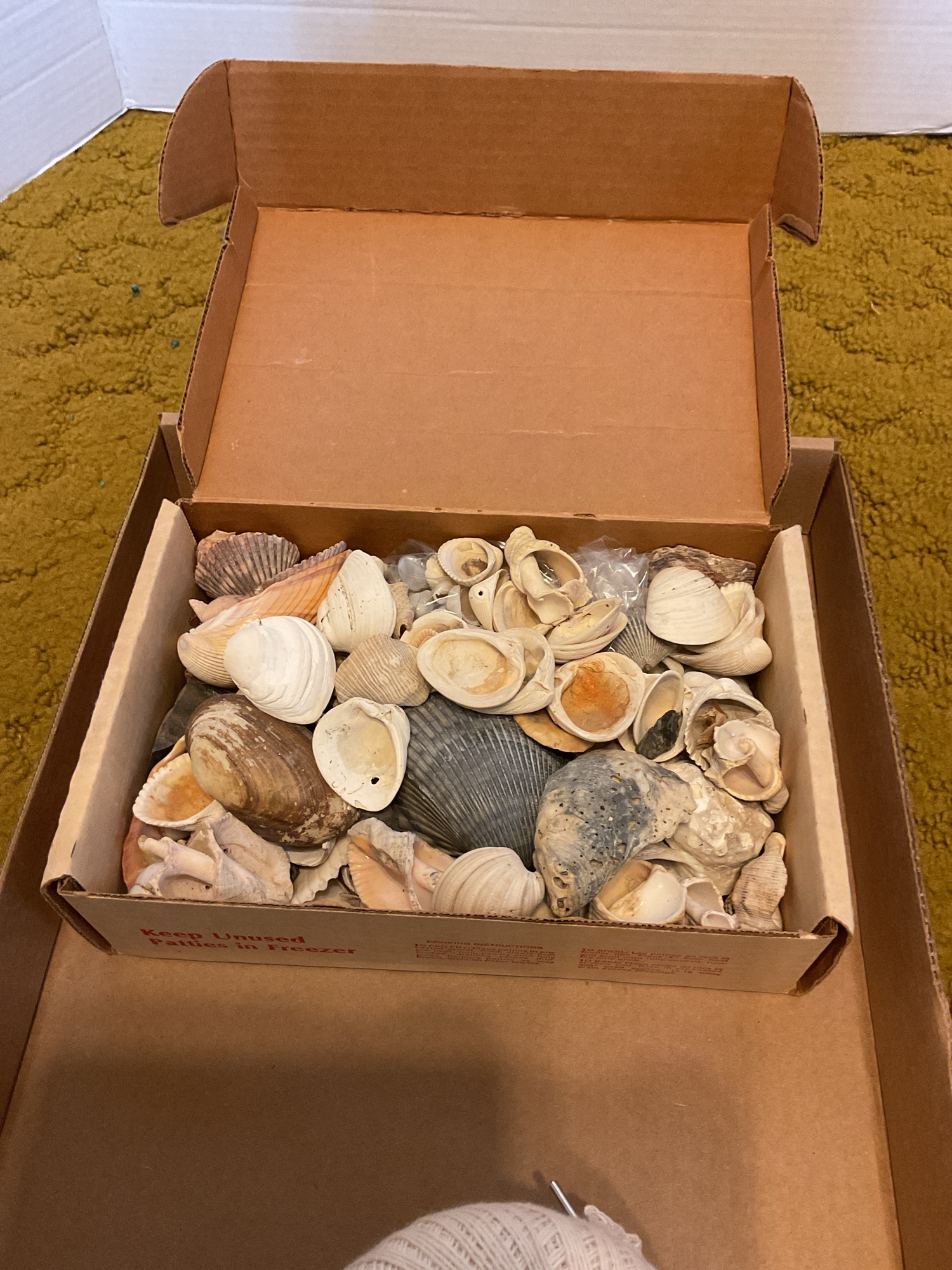 Lot image 4