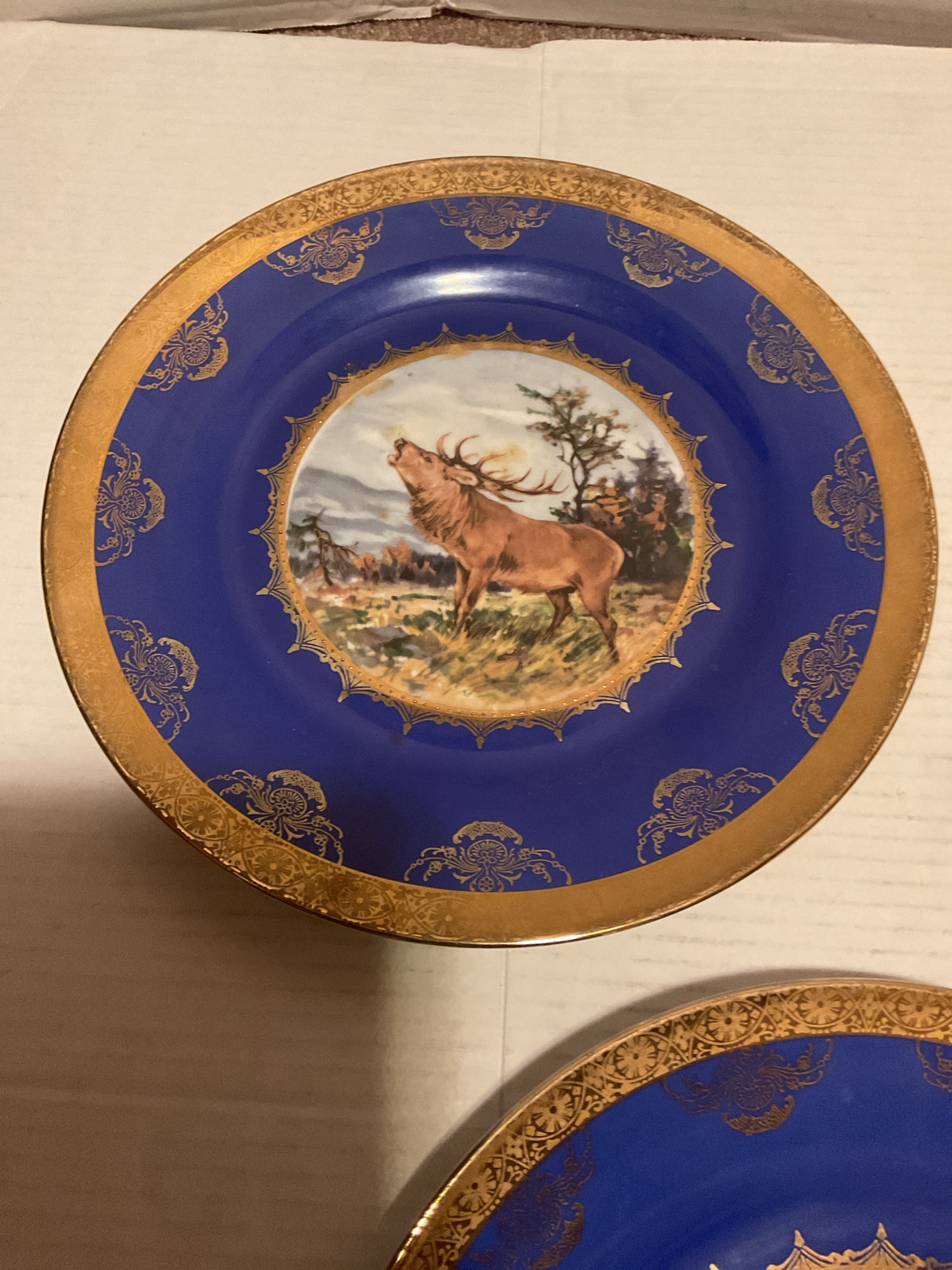 Lot image 12