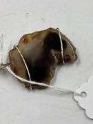 Two Stone Pendants