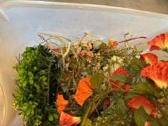 Large Lot of Assorted Craft Floral Supplies