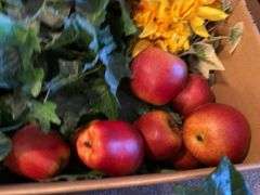 Box Lot of Assorted Artificial Flowers, Fruits and Greenery
