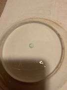 Collection of Wildlife Decorative Plates, Assorted Makers