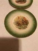 Collection of Wildlife Decorative Plates, Assorted Makers