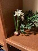 Decorative Art Lot: Figurine, Vase, and Decorative Flowers