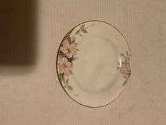 Collectible Decorative Plate Collection - Ducks Unlimited & More