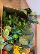 Box Lot of Assorted Artificial Flowers, Fruits and Greenery