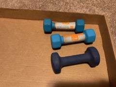 Hillstone Sunflower Tours Swag Bag with Weights