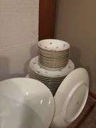 Johann Haviland Bavaria China Set - Floral Pattern