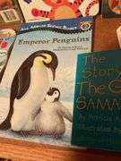 Children's Book Lot - Noah's Ark, Disney, Sesame Street & More
