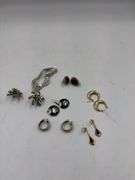 Assorted Costume Jewelry Lot - Earrings, Brooches, and Necklace