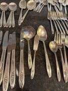 (14) Mismatched Silverware