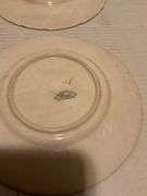 Collection of Wildlife Decorative Plates, Assorted Makers
