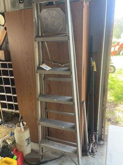 6 ft Metal Ladder image