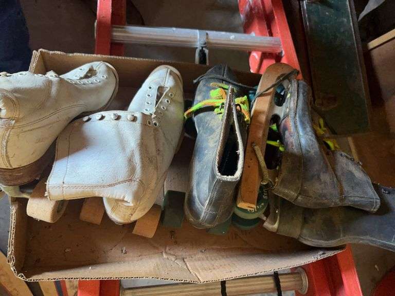 Roller Skates and Ice Skates Assortment image