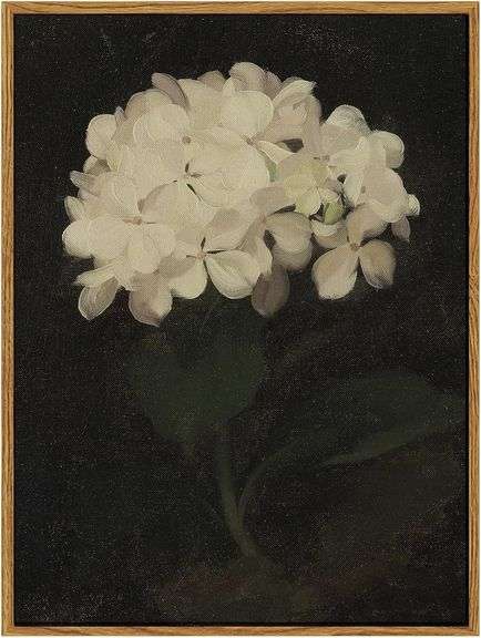 InSimSea Framed Wall Art for Living Room Decoration Canvas Wall Art Room Decor White Hydrangea Oil Painting Canvas Prints Bedroom Bathroom Wall Art Kitchen Office Wall Decor 12x16in image