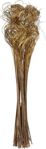 Vickerman Natural Botanicals 24"-28" Curly Ting Ting, Gold with Gold Glitter. 5 Bunches per Pack. image