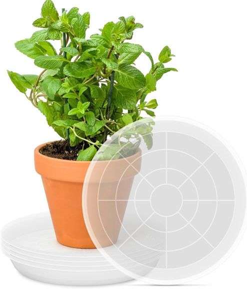 PACETAP 16 inch Plant Saucer Pot Tray 5 Pack, Large Thickened PP Plastic Flower Planter Water Drip Trays for Indoor Outdoor Garden, Semi-Transparent Planter Water Catcher for Pot, Plant Dish image