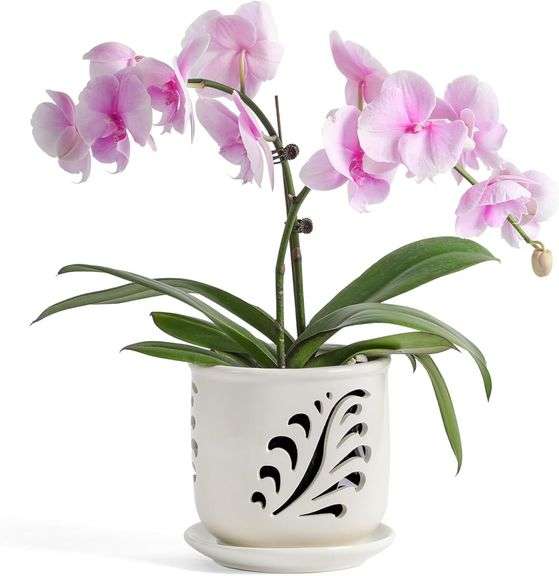 Ceramic Orchid Pot, 6 Inch Orchid Pots with Holes and Saucer for Indoor/Outdoor Plants Drainage & Air Circulation, White Orchid Planter for Repotting or New Plants image