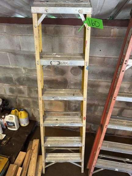 Davidson 6ft Type1 Pro Ladder - 300 LB Rating image