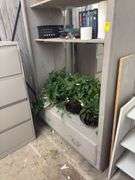 82 x 50in Mirror Backed What Not Cabinet