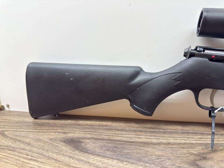 SAVAGE .22 with Scope (#1606299)