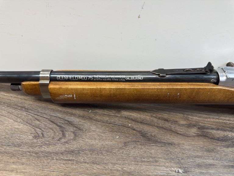 GLENFIELD .22 Rifle (#71434452)