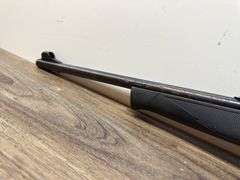 MOSSBERG .22cal Int'l 702 Plinkster (#EEC183234)