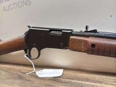 HENRY ARMS Model H003T .22 S/L/LR Rifle (#P32578T)