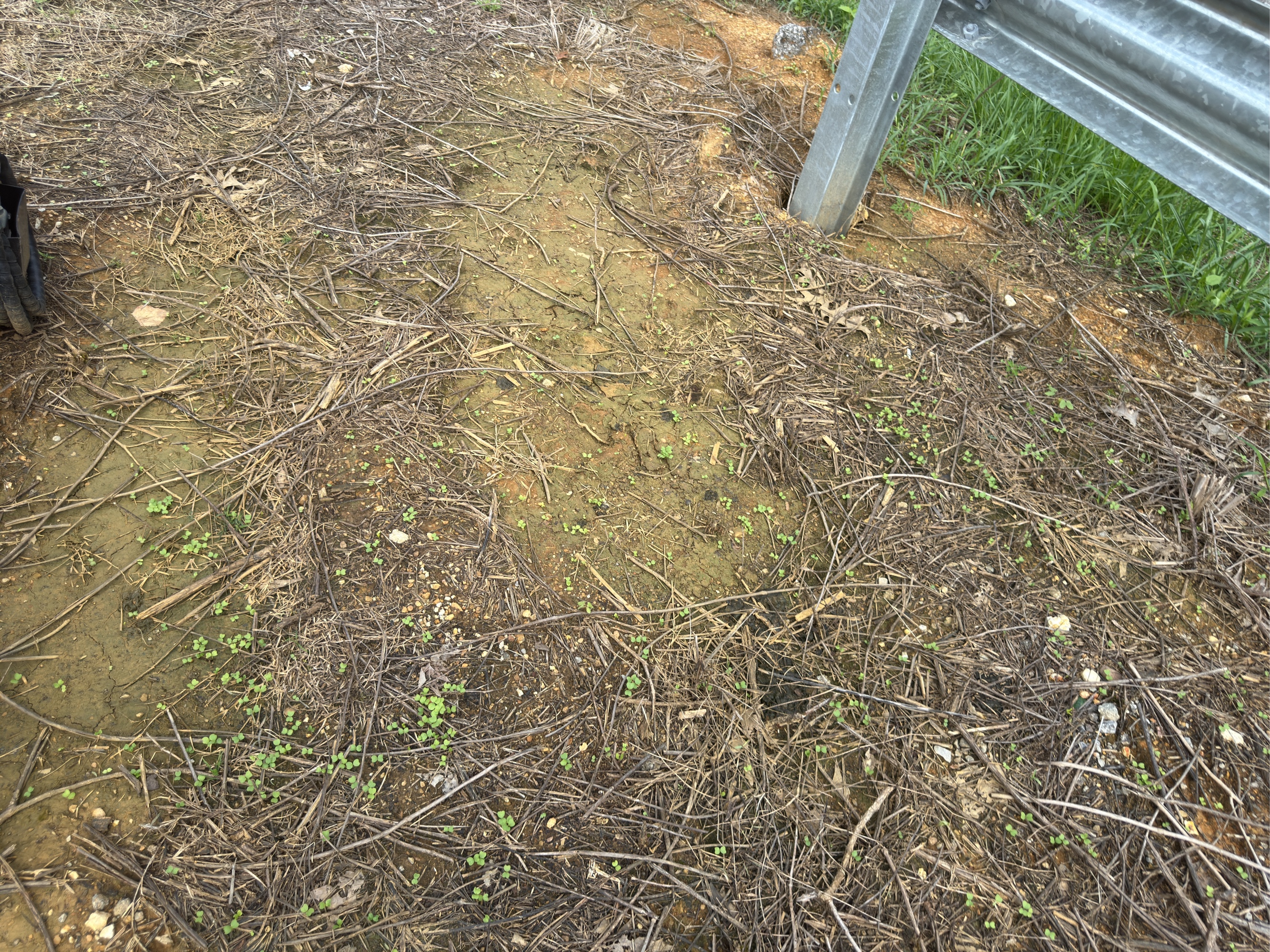 Lot image 7