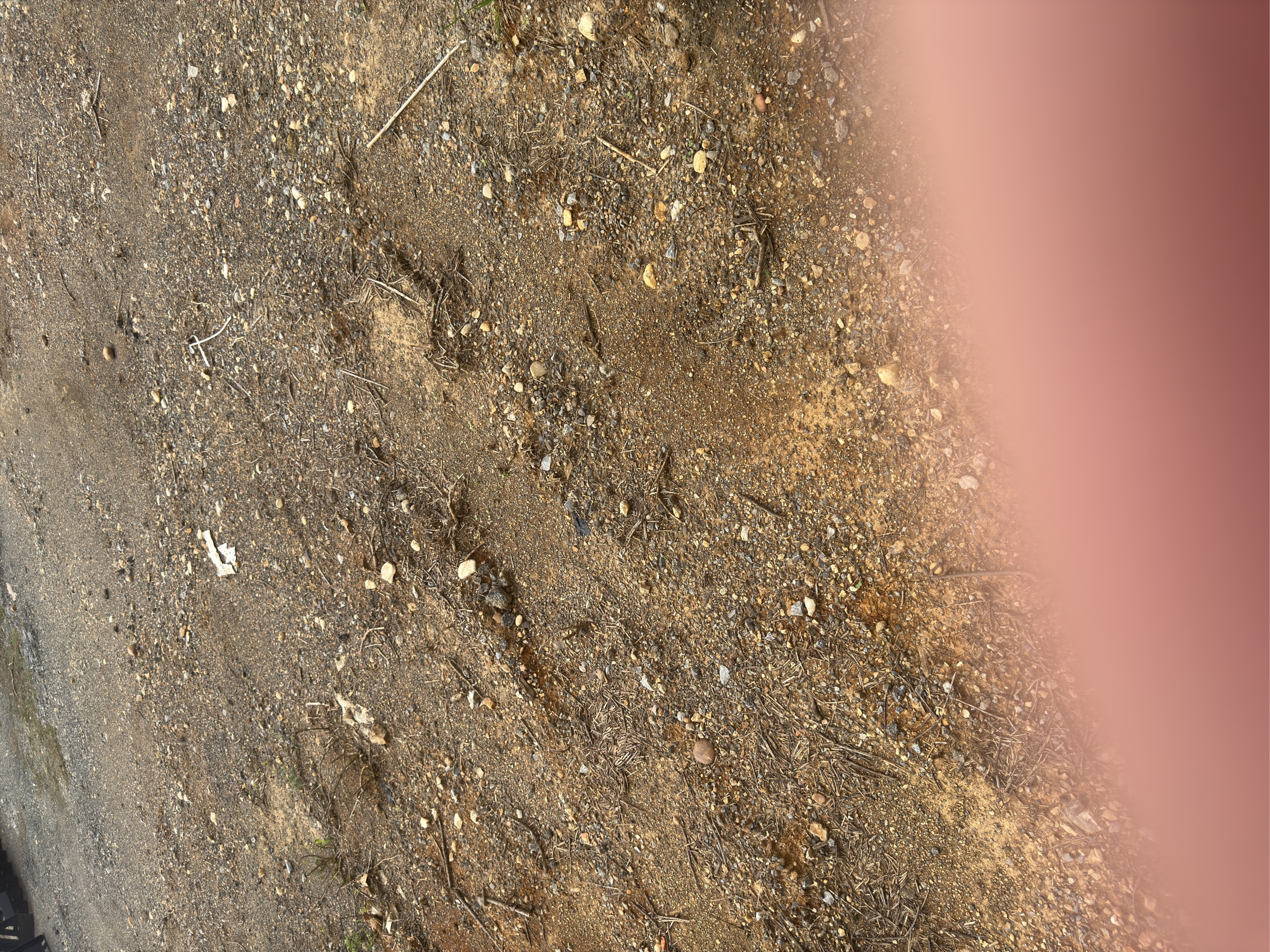 Lot image 5