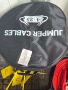 Future - FT-DPX25 Battery Cables