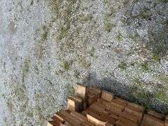 (128) 2 x 6 - 16ft Construction/Framing Lumber