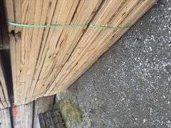 (208) 2 x 4 - 10ft Construction/Framing Lumber
