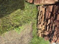 Rough Cut Poplar - Green 2x6 to 2x10 - 11ft - 16ft - Approx 200 Boards