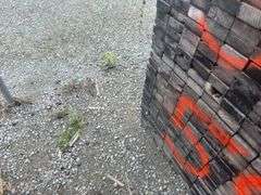 (208) 2 x 4 - 10ft Construction/Framing Lumber