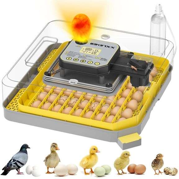 Egg Incubator, 48 Capacity, Auto Turner & Control. image