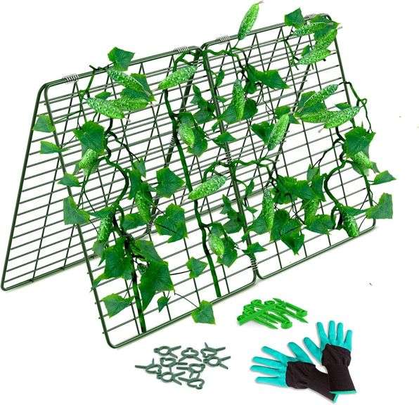 35x55' Cucumber Trellis for Raised Bed image