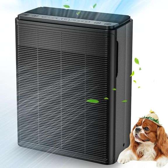 AIUZLK Air Purifier, Large Room, 2000 sqft image
