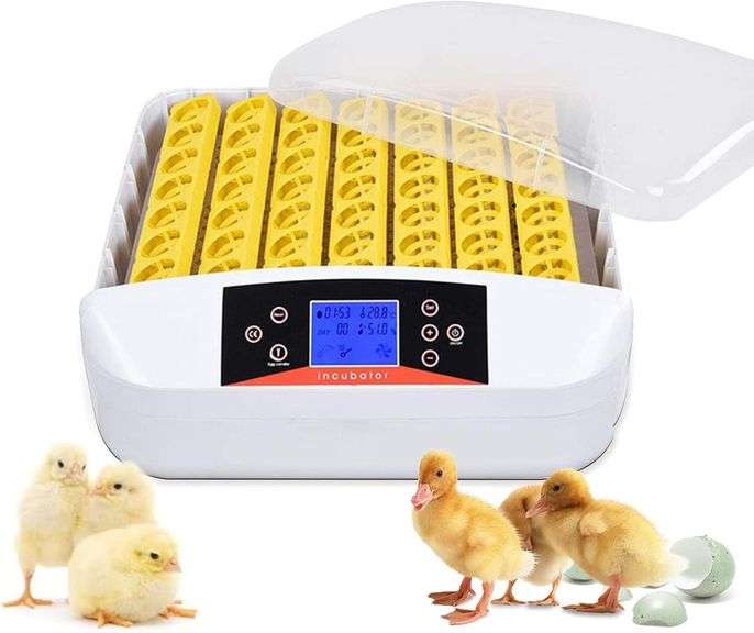 56 Eggs Fully Automatic Incubator w/ LED & Control image