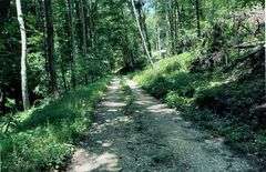Tract 1 - 16.95 Acres