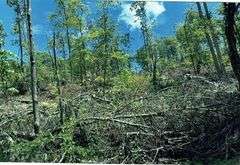 Tract 1 - 16.95 Acres