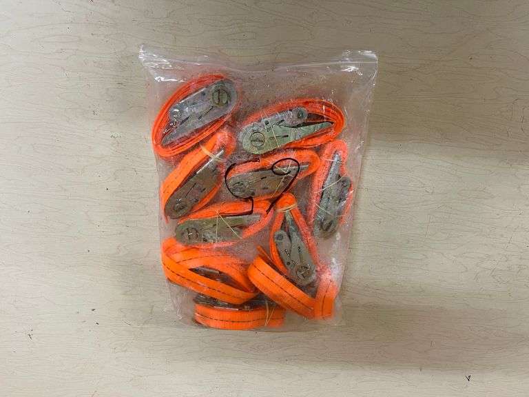 (10) Orange Ratchet Straps image