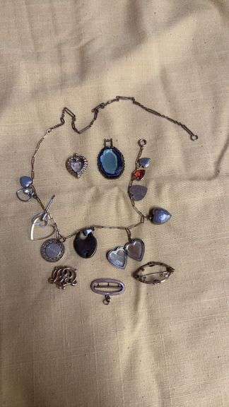Charm Necklace with various charms and 3 Pins image