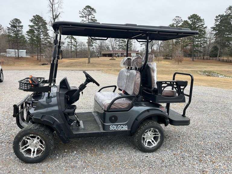 Electric Golf Cart image