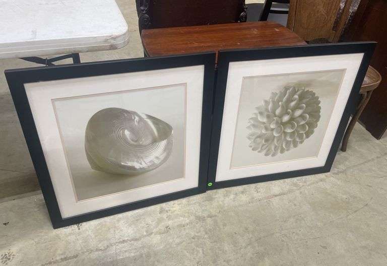 Pair of Framed Shell and Flower Prints
