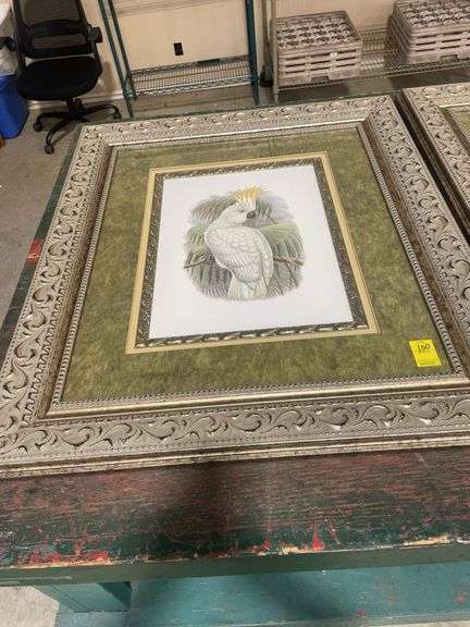Pair of Framed Cockatoo Prints